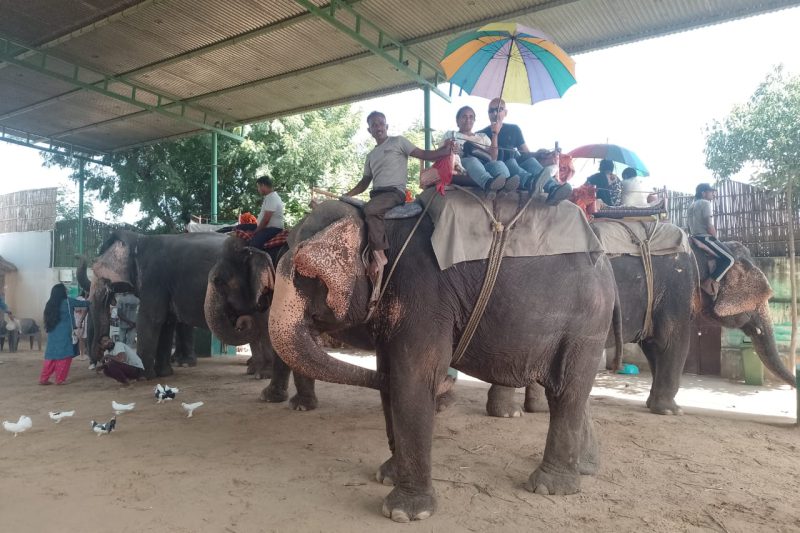 WhatsApp Image 2025-10-29 at 11.06.04 (2)